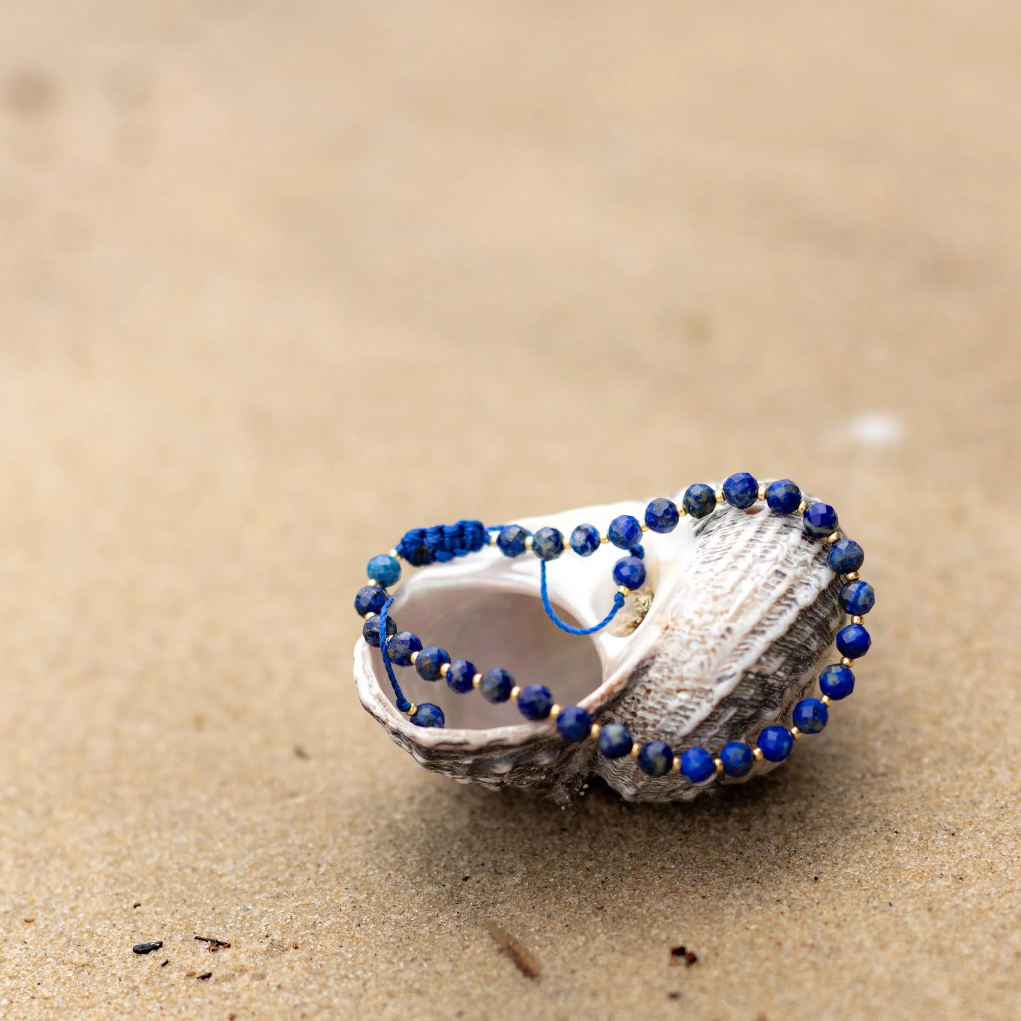 Intuitive Charms Lapis Lazuli natural crystal beaded custom jewellery on a shell