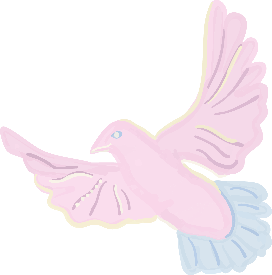 intuitive charms illustration dove